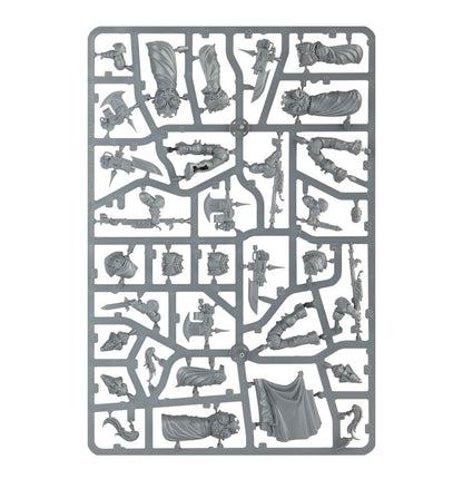 Custodian Wardens / Custodian Wardens Shield-Captain / Custodian Wardens Vexilus Praetor