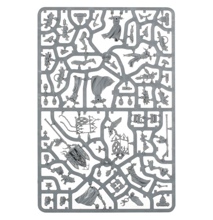 Adepta Sororitas Battle Sisters Squad / Adepta Sororitas Dominion Squad