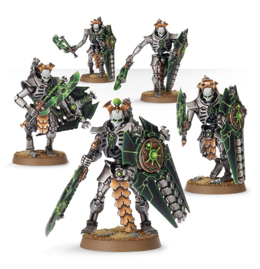 Lychguard / Triarch Praetorians