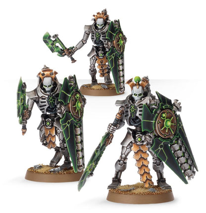 Lychguard / Triarch Praetorians