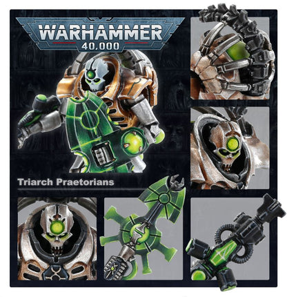 Lychguard / Triarch Praetorians