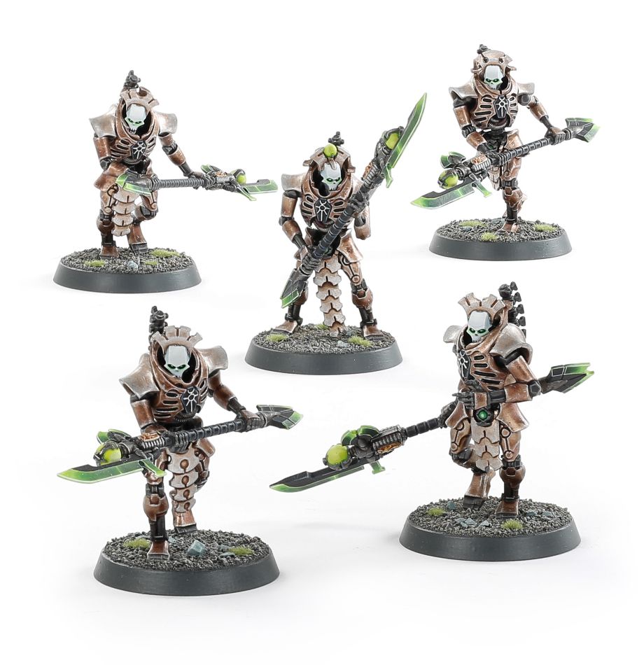 Lychguard / Triarch Praetorians