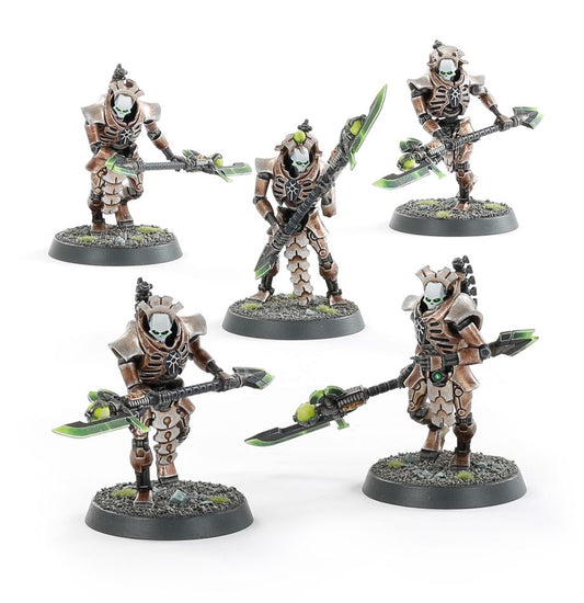 Lychguard / Triarch Praetorians