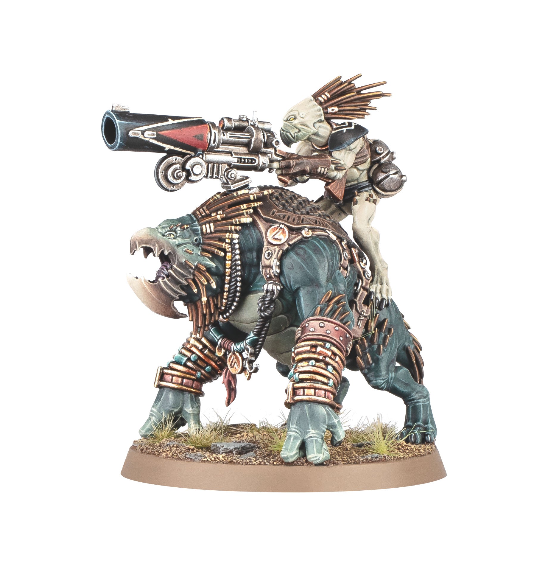Krootox Rider