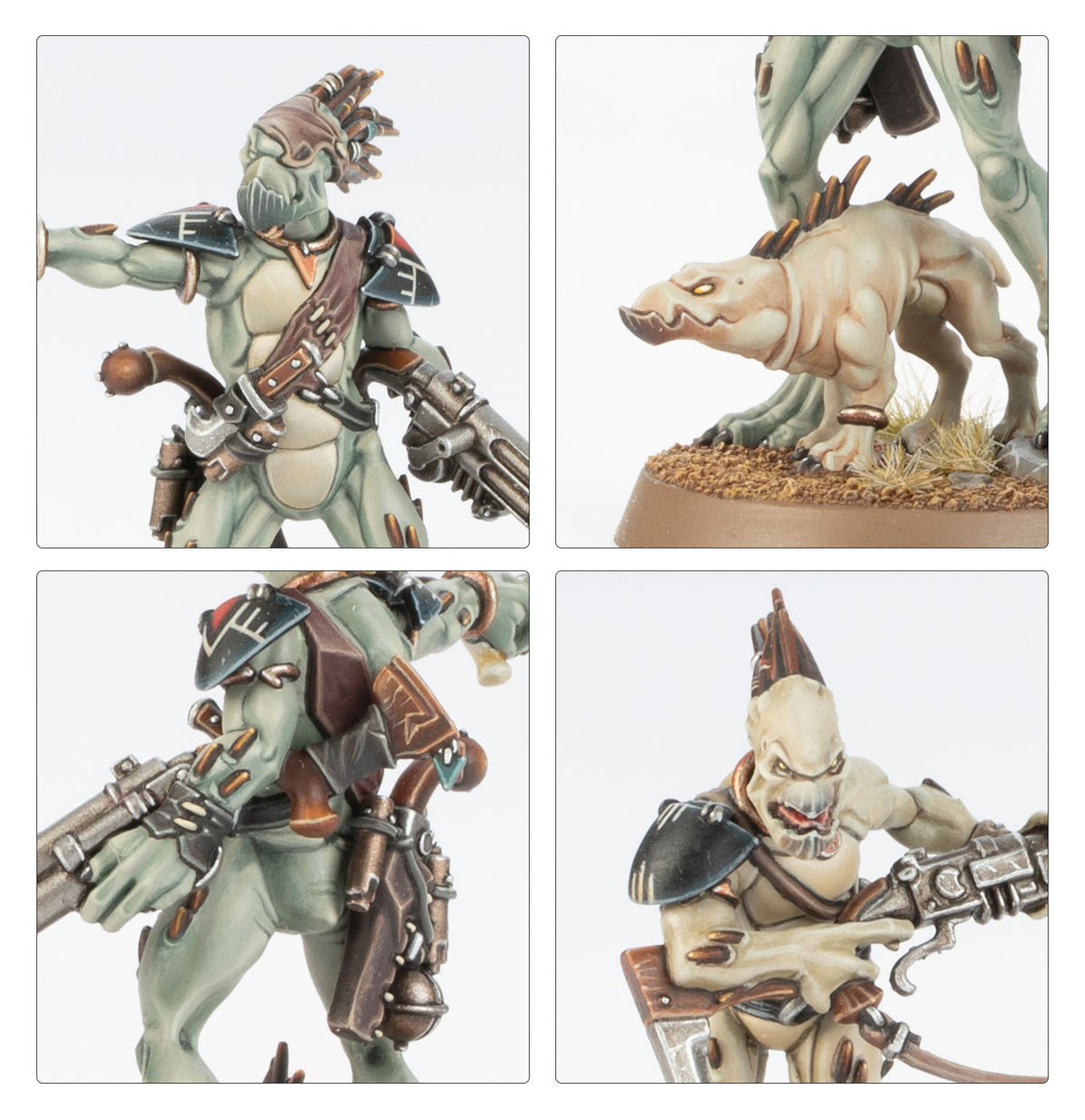 Kroot Carnivores