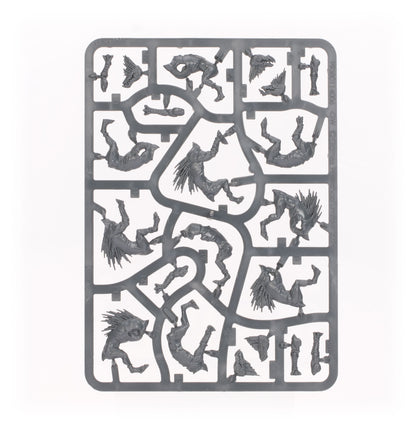 Kroot Hounds