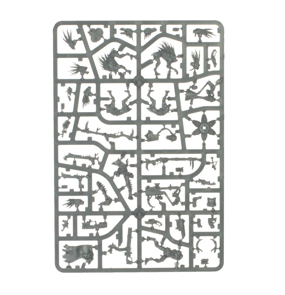 Combat Patrol: Kroot
