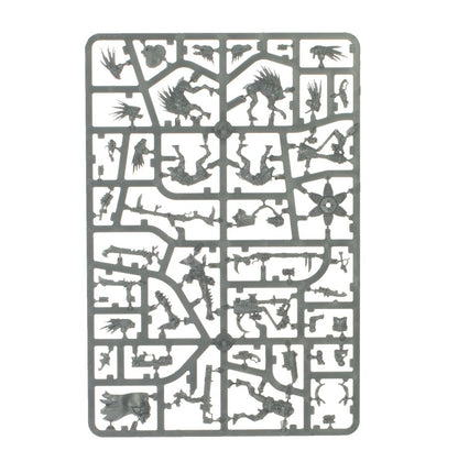 Combat Patrol: Kroot