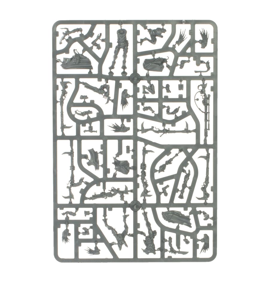 Combat Patrol: Kroot