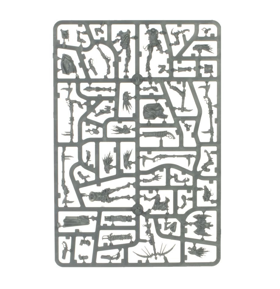 Combat Patrol: Kroot