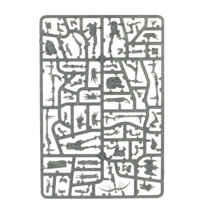 Combat Patrol: Kroot