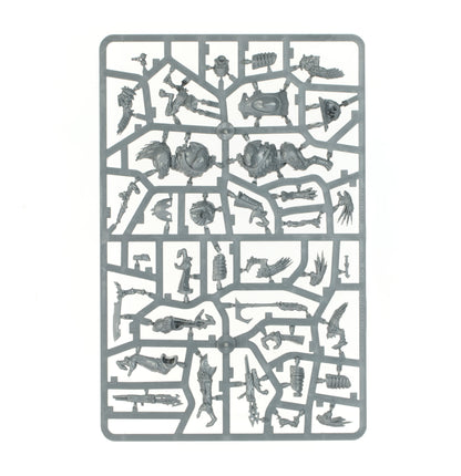 Combat Patrol: Kroot