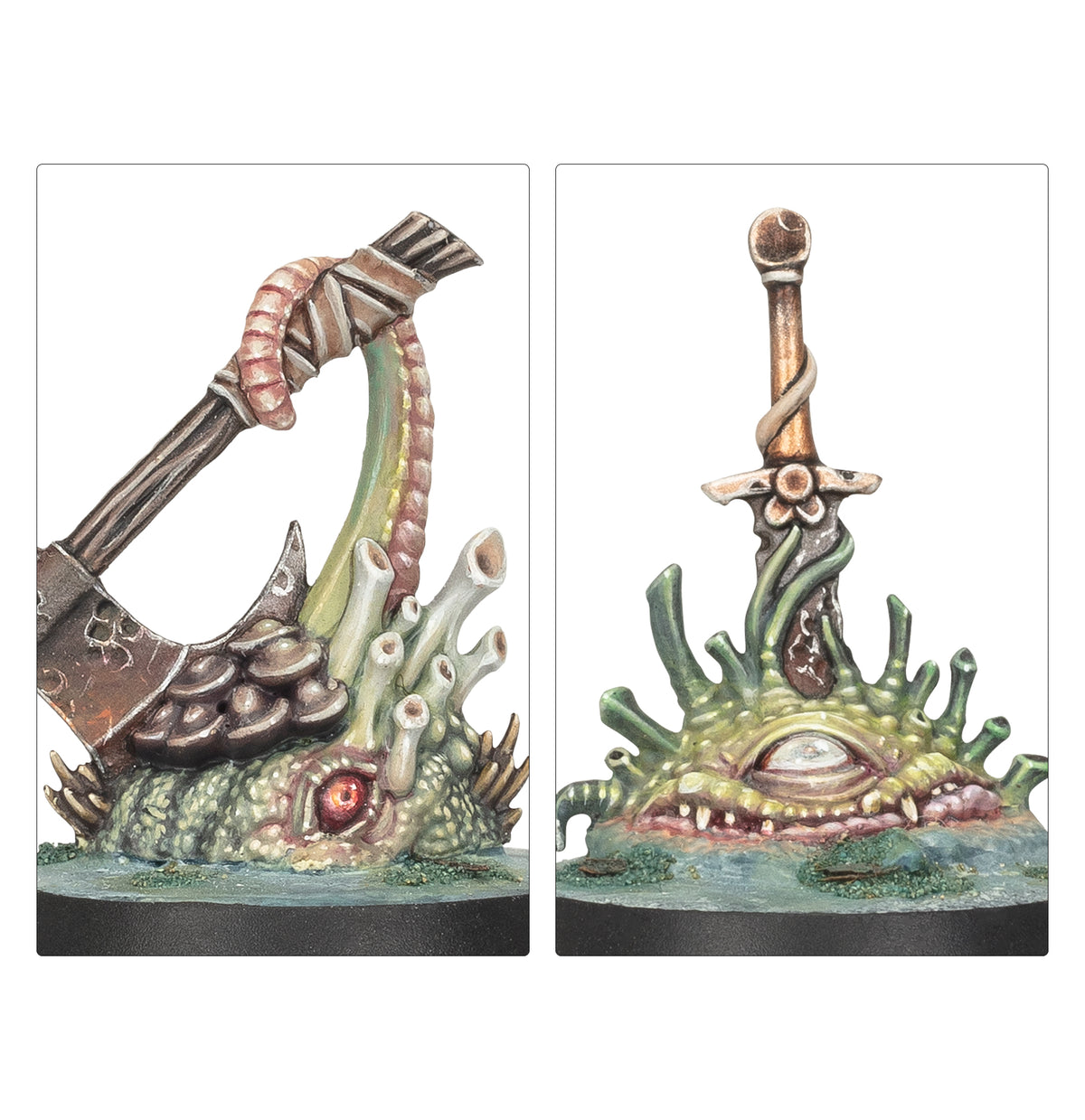 Cankerborn