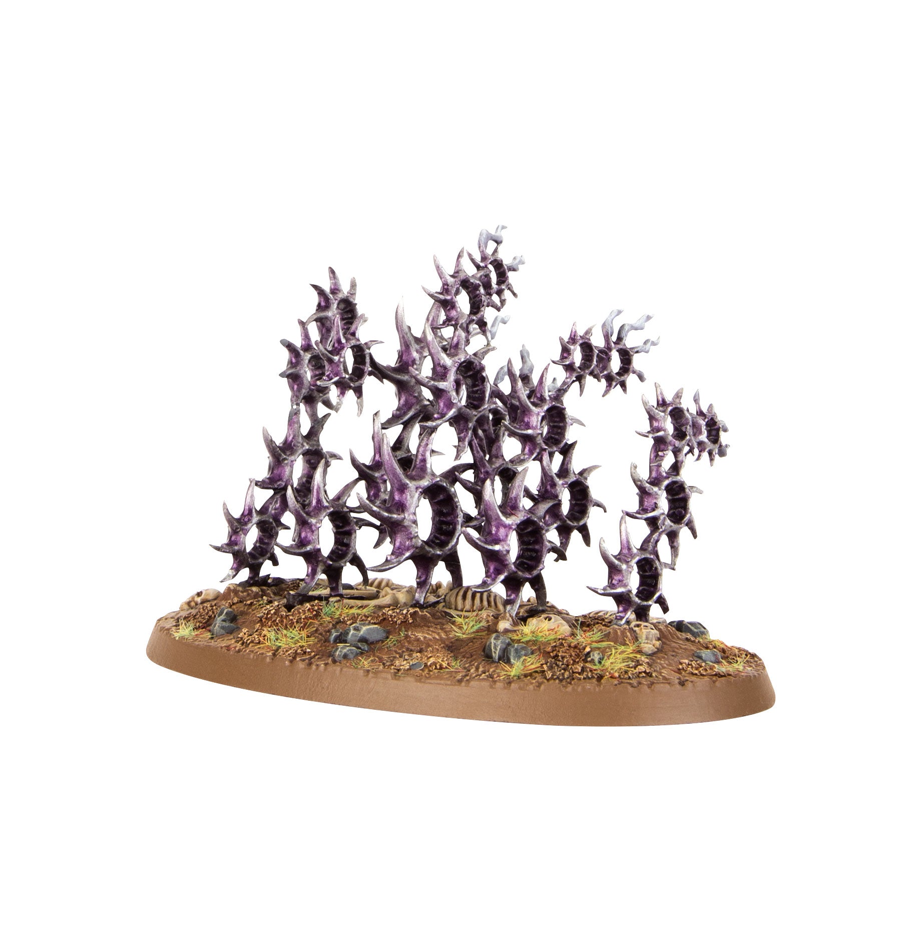 Regiment of Renown: The Accursed Reflection