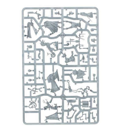 Spearhead: Cities of Sigmar – Zenestra's Zealots