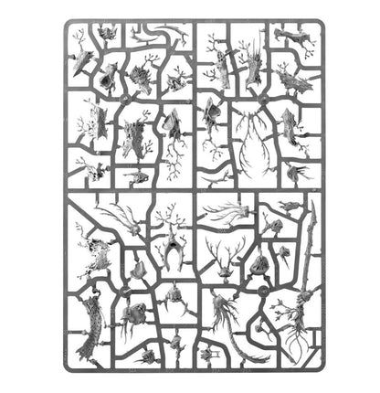 Spirit of Durthu / Treelord / Treelord Ancient