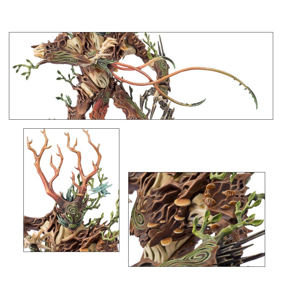 Spirit of Durthu / Treelord / Treelord Ancient