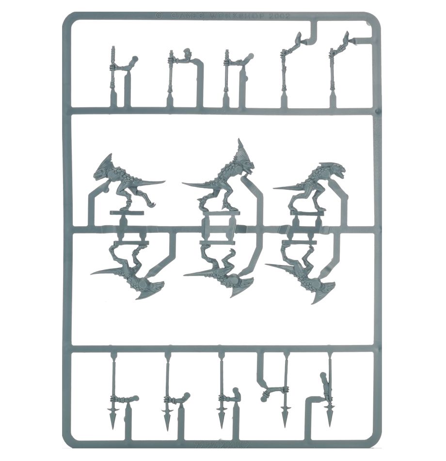 Skinks