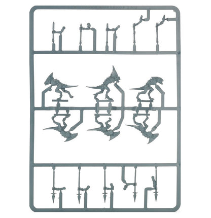 Skinks