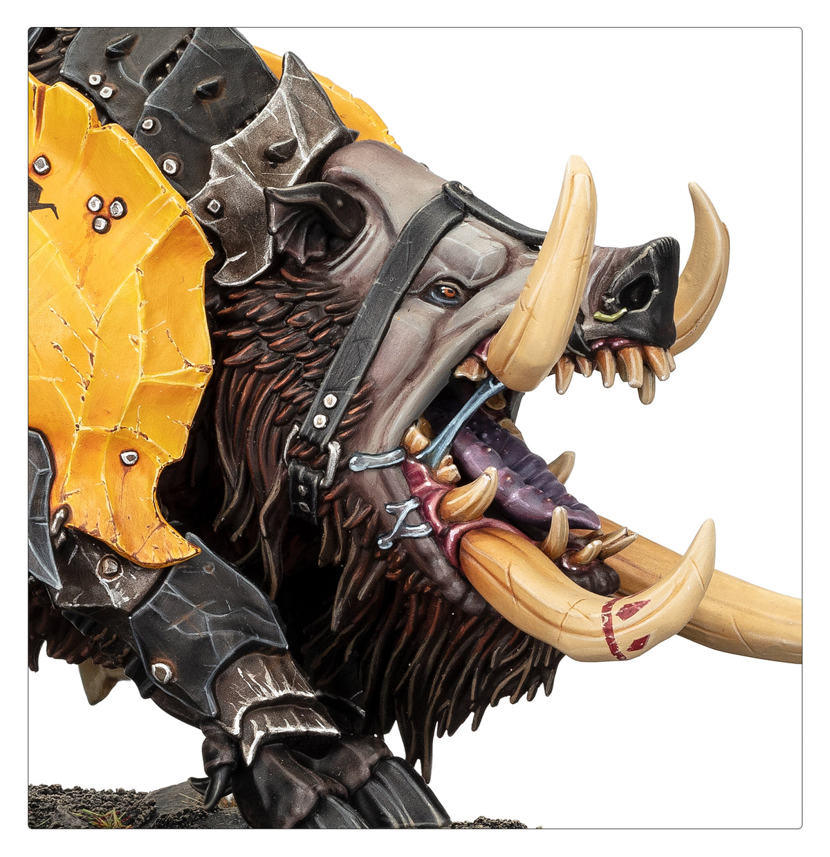Maw-grunta Gouger / Maw-grunta with Hakkin' Krew / Tuskboss on Maw-grunta