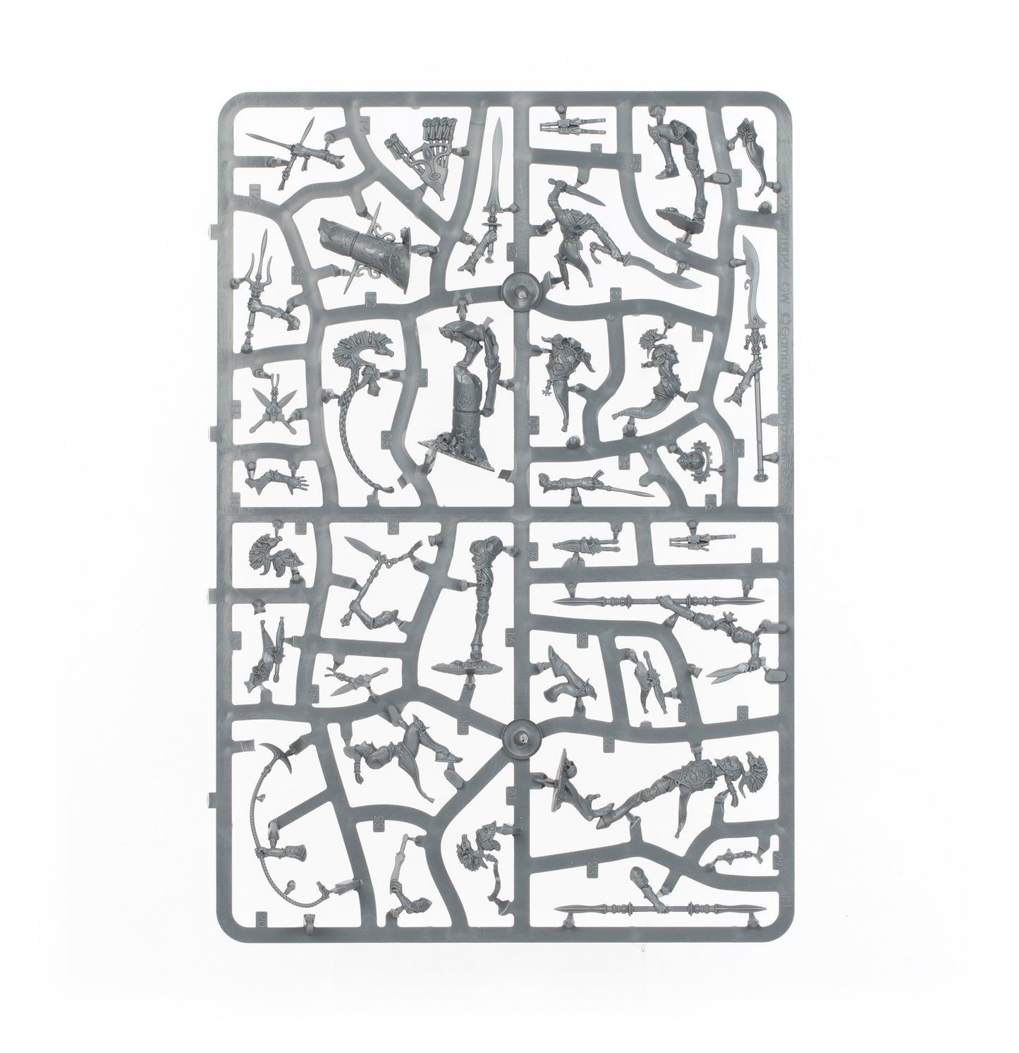 Warcry: Ydrilan Riverblades