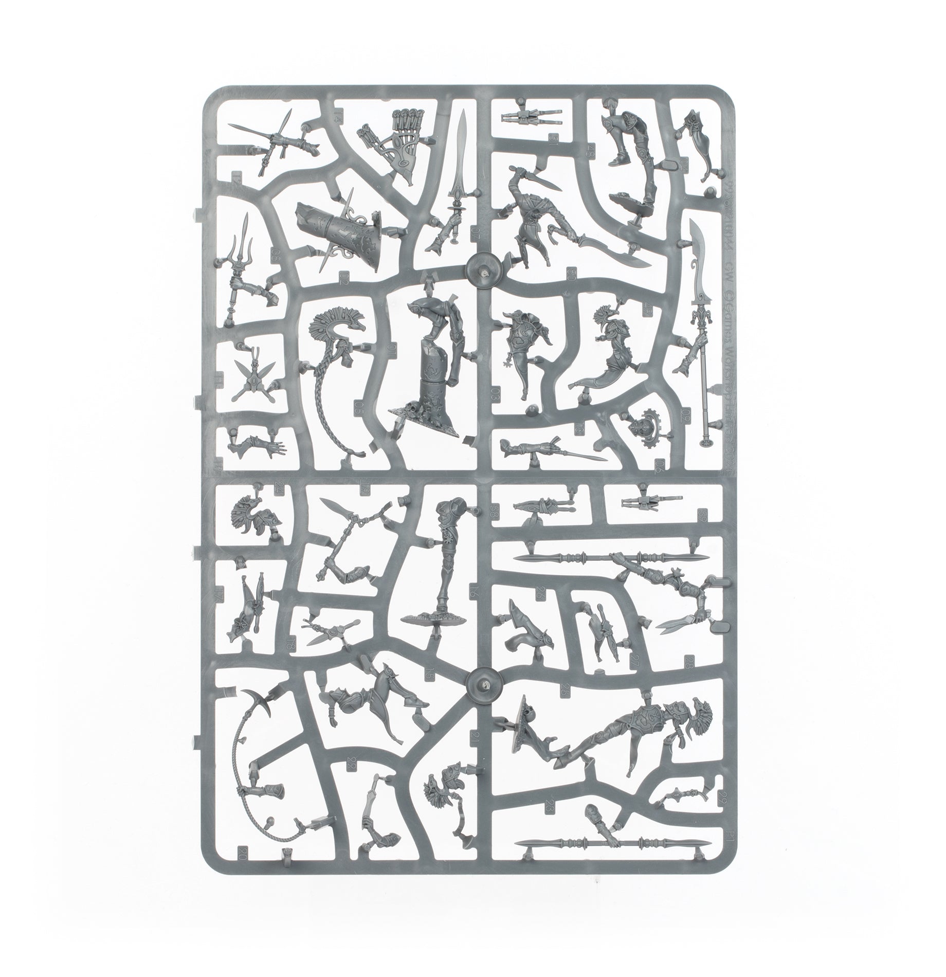 Warcry: Ydrilan Riverblades