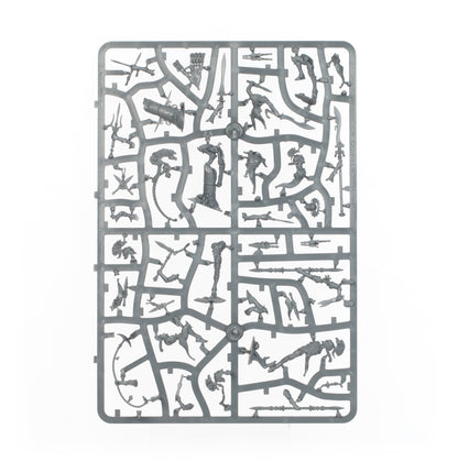 Warcry: Ydrilan Riverblades