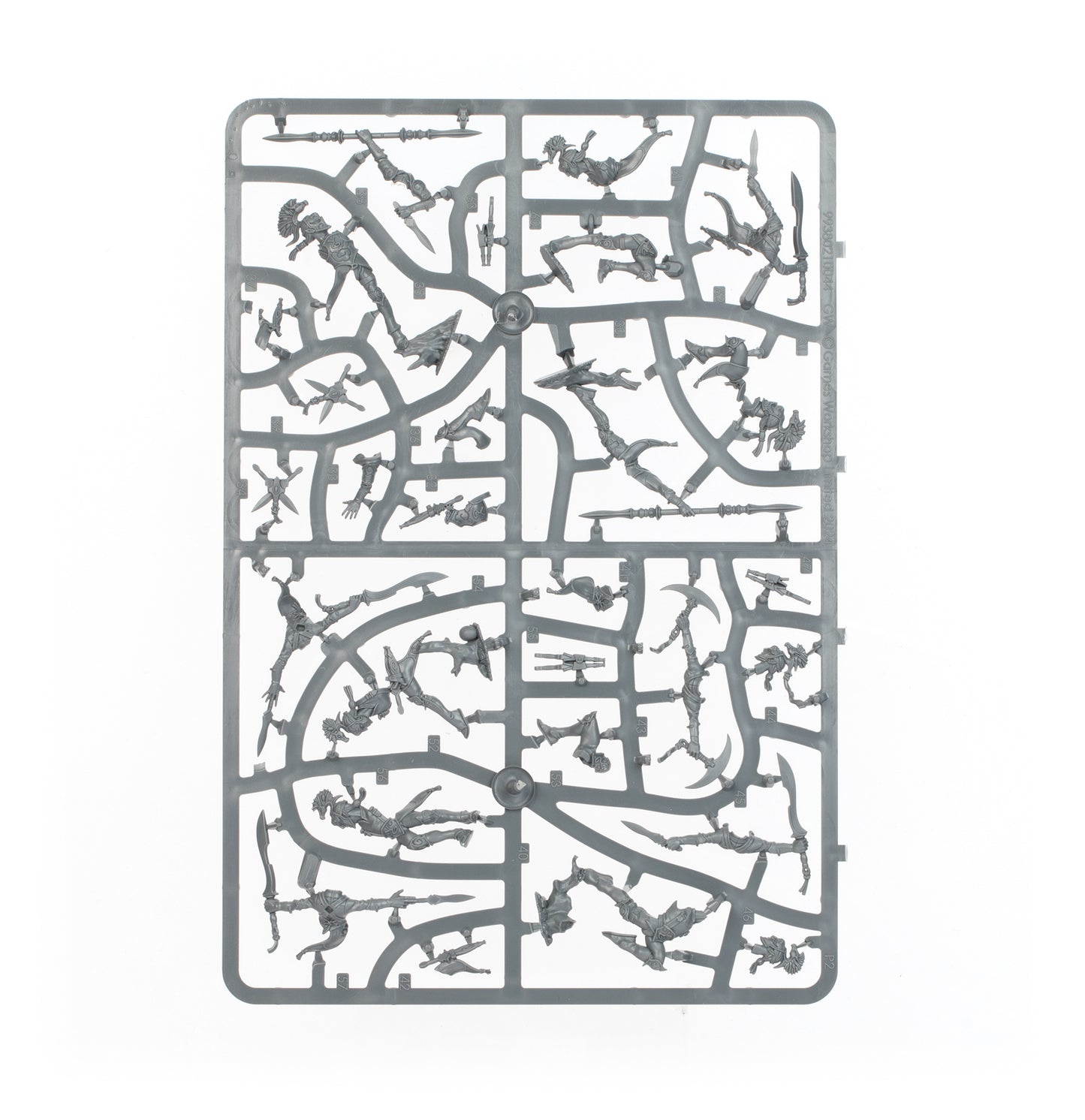 Warcry: Ydrilan Riverblades