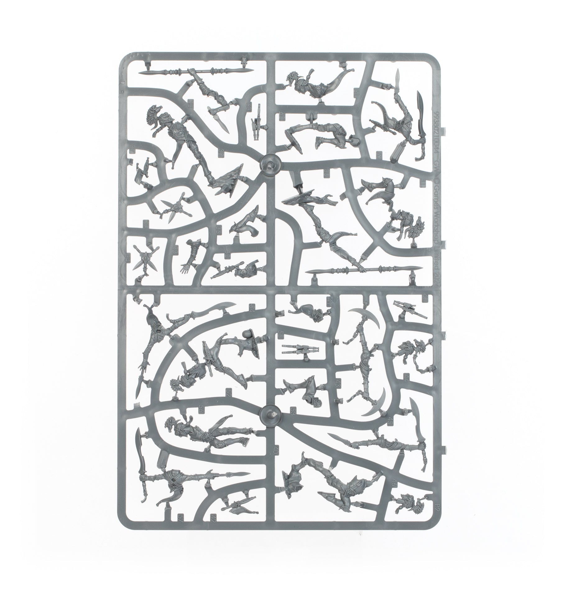 Warcry: Ydrilan Riverblades