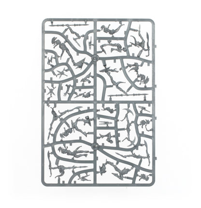 Warcry: Ydrilan Riverblades