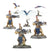 STORMCAST ETERNALS: VANGUARD-RAPTORS