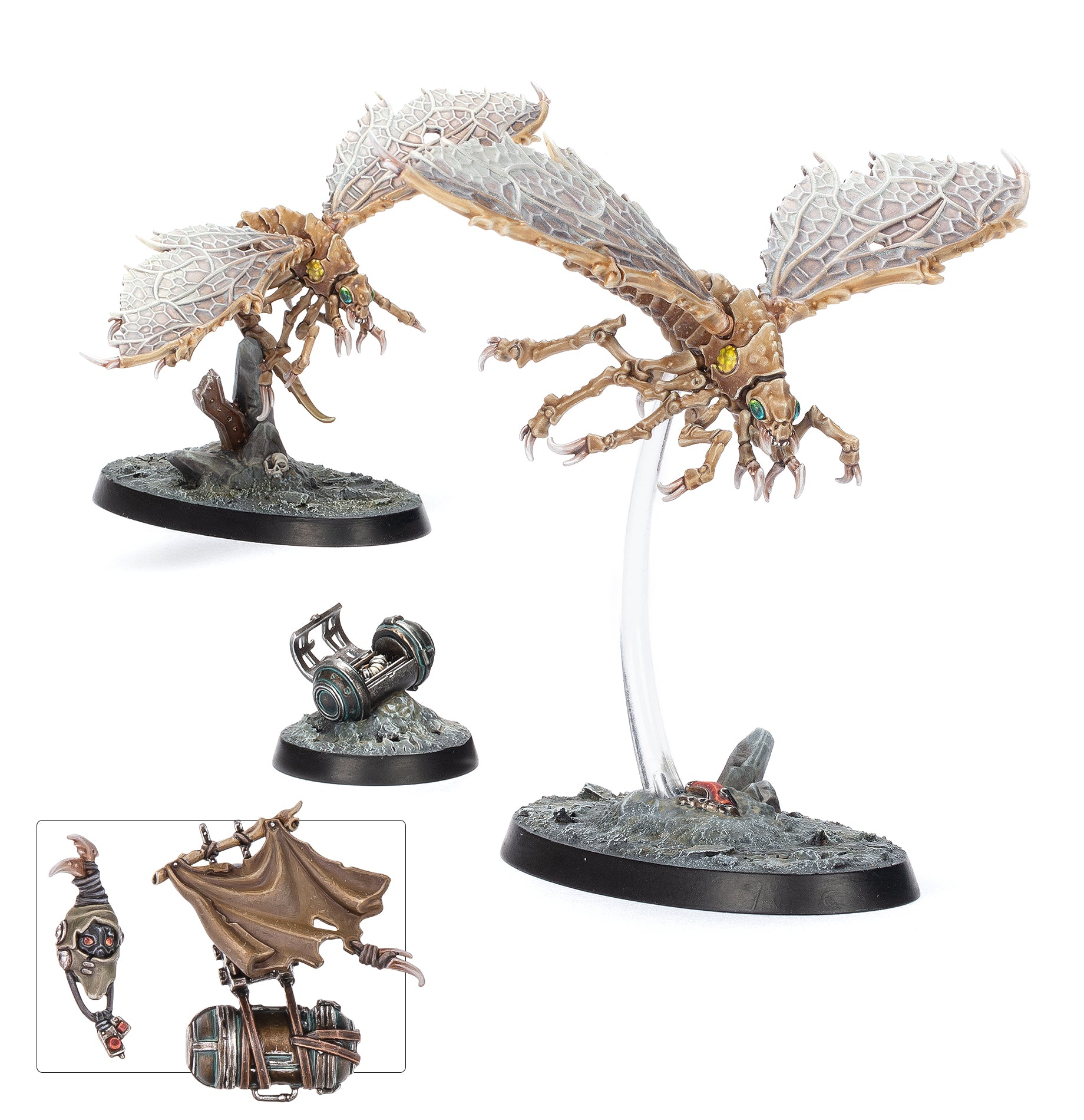 Ashwing Helamites