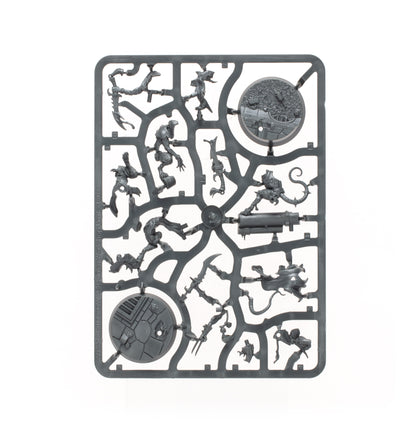 Chaos Warbands: Reavers of Ruin