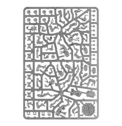 Elven Union Team: Elfheim Eagles