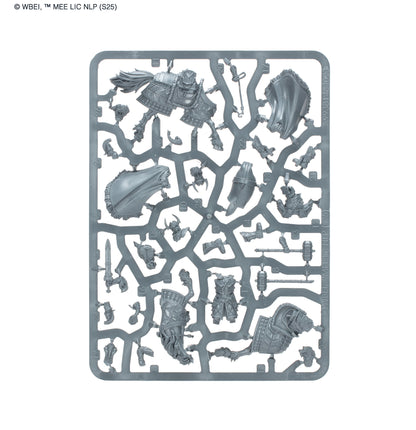 Helm Hammerhand™, King of Rohan™