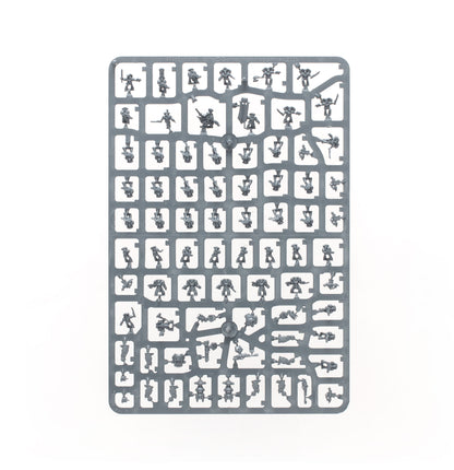 Legions Imperialis: Legiones Astartes Combat Force