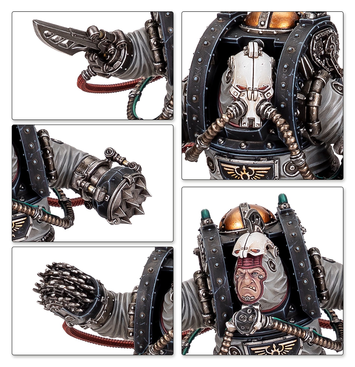 Charonite Ogryn Section
