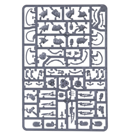 Charonite Ogryn Section