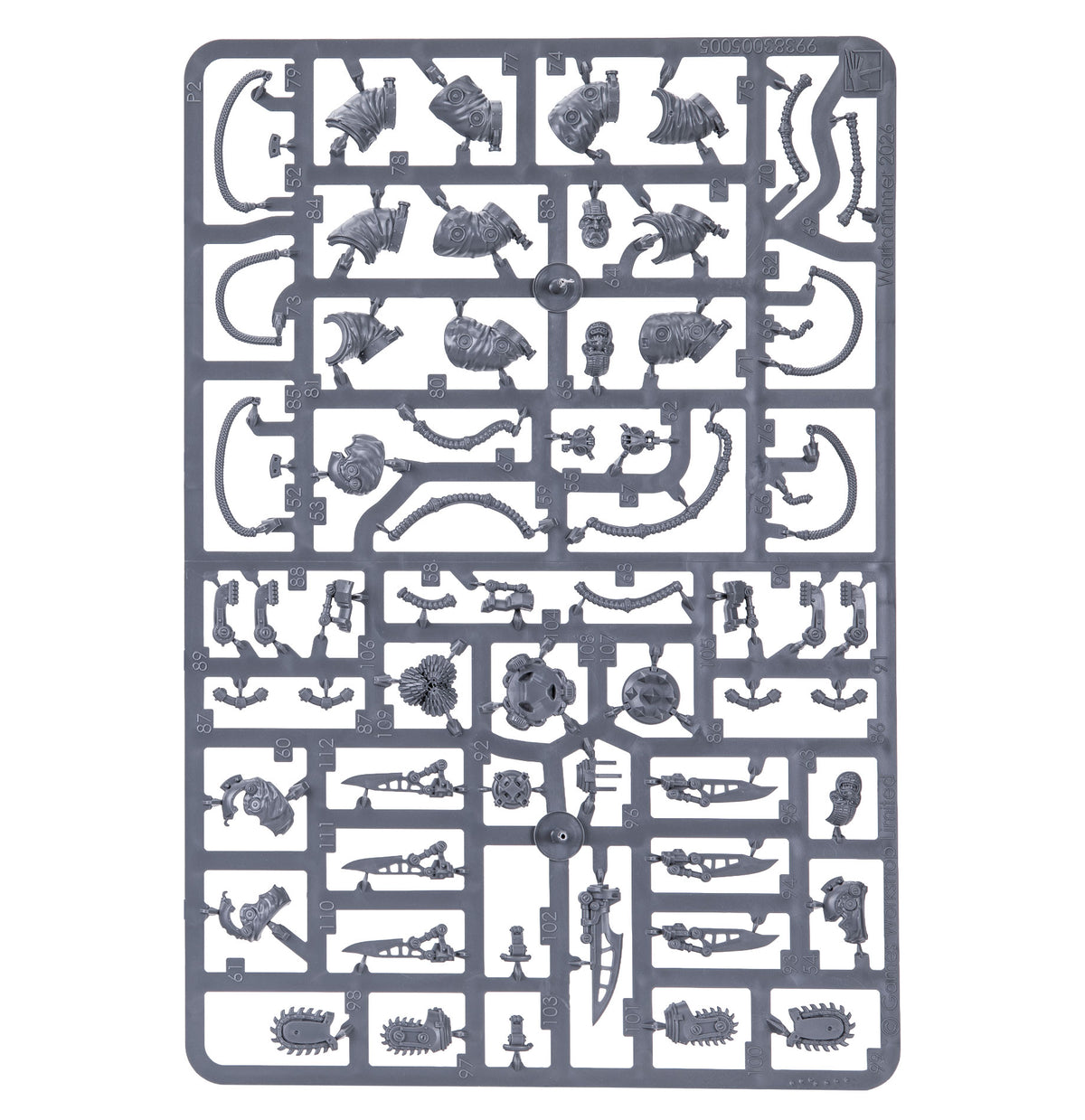 Charonite Ogryn Section