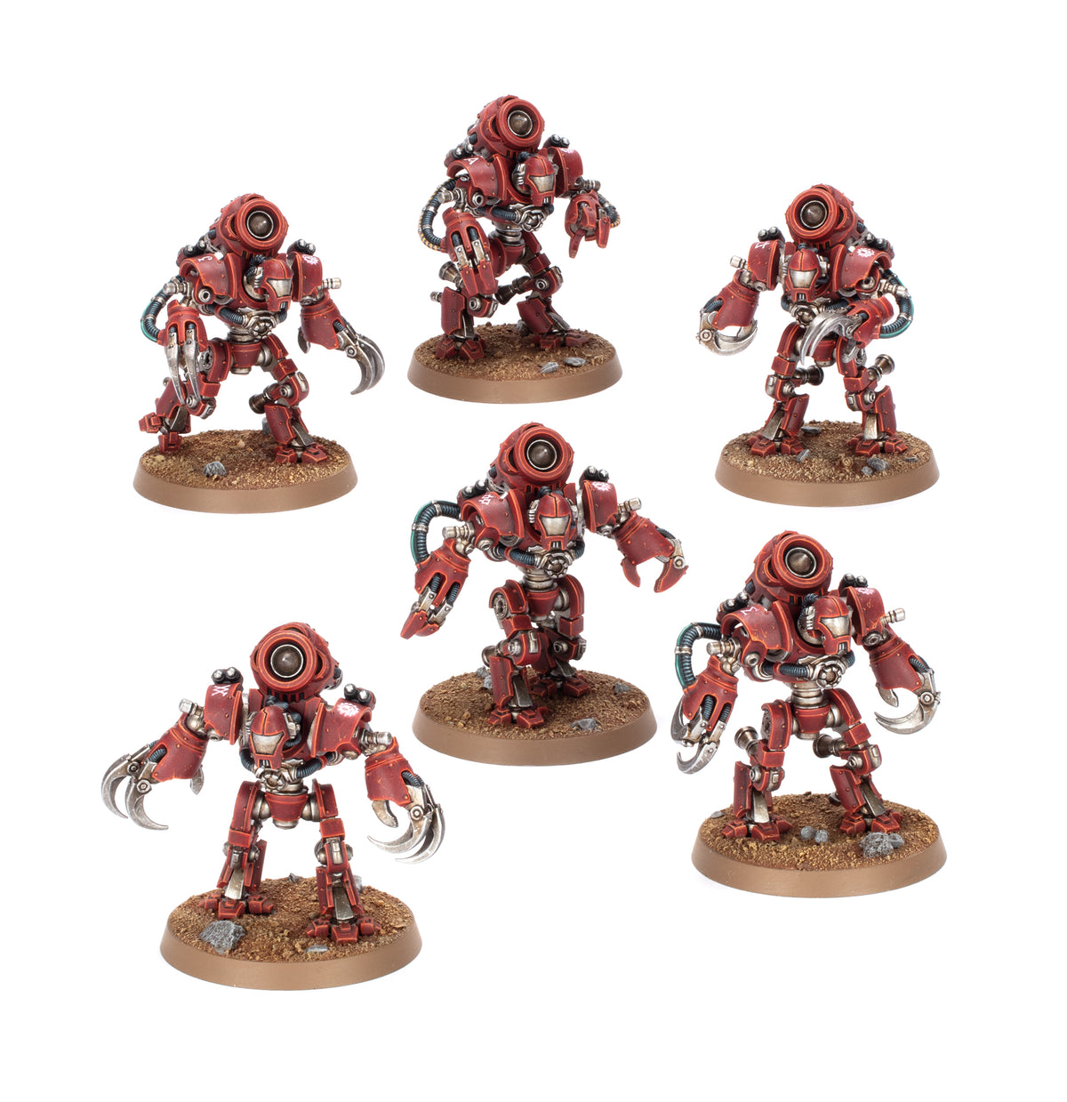 Ursarax Cohort