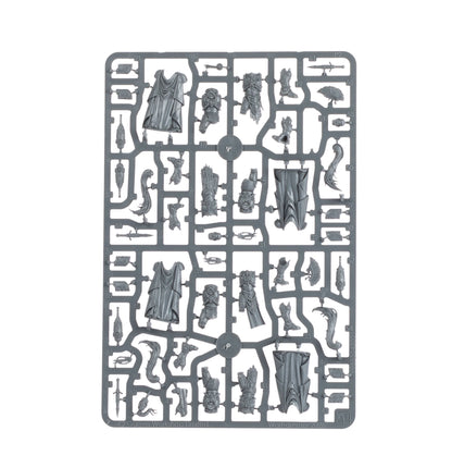 Custodian Guard Sodality