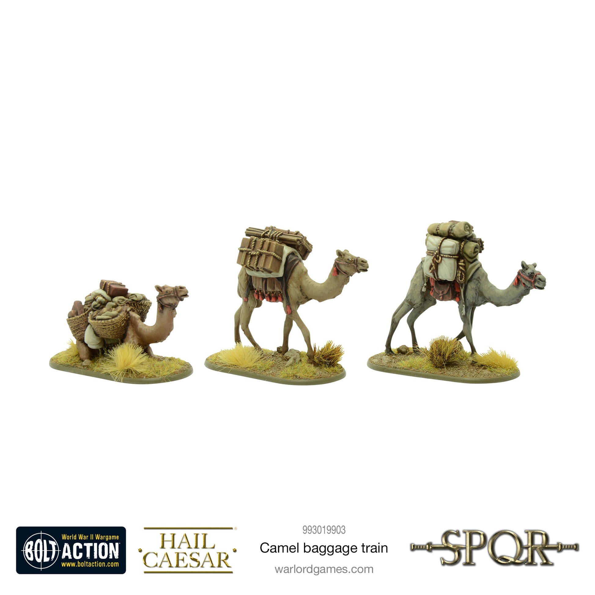 Hail Caesar: Camel baggage train