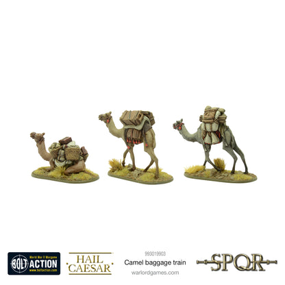Hail Caesar: Camel baggage train