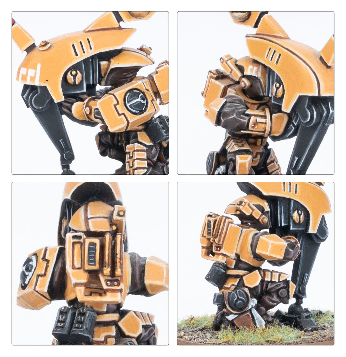 Firesight Team