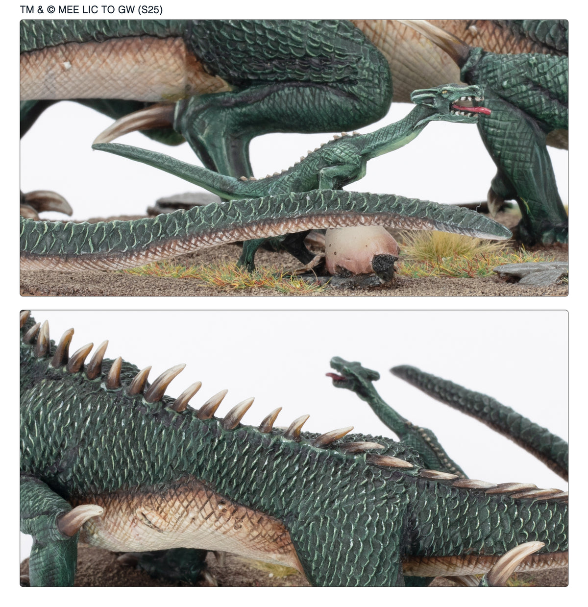 Cave Drake