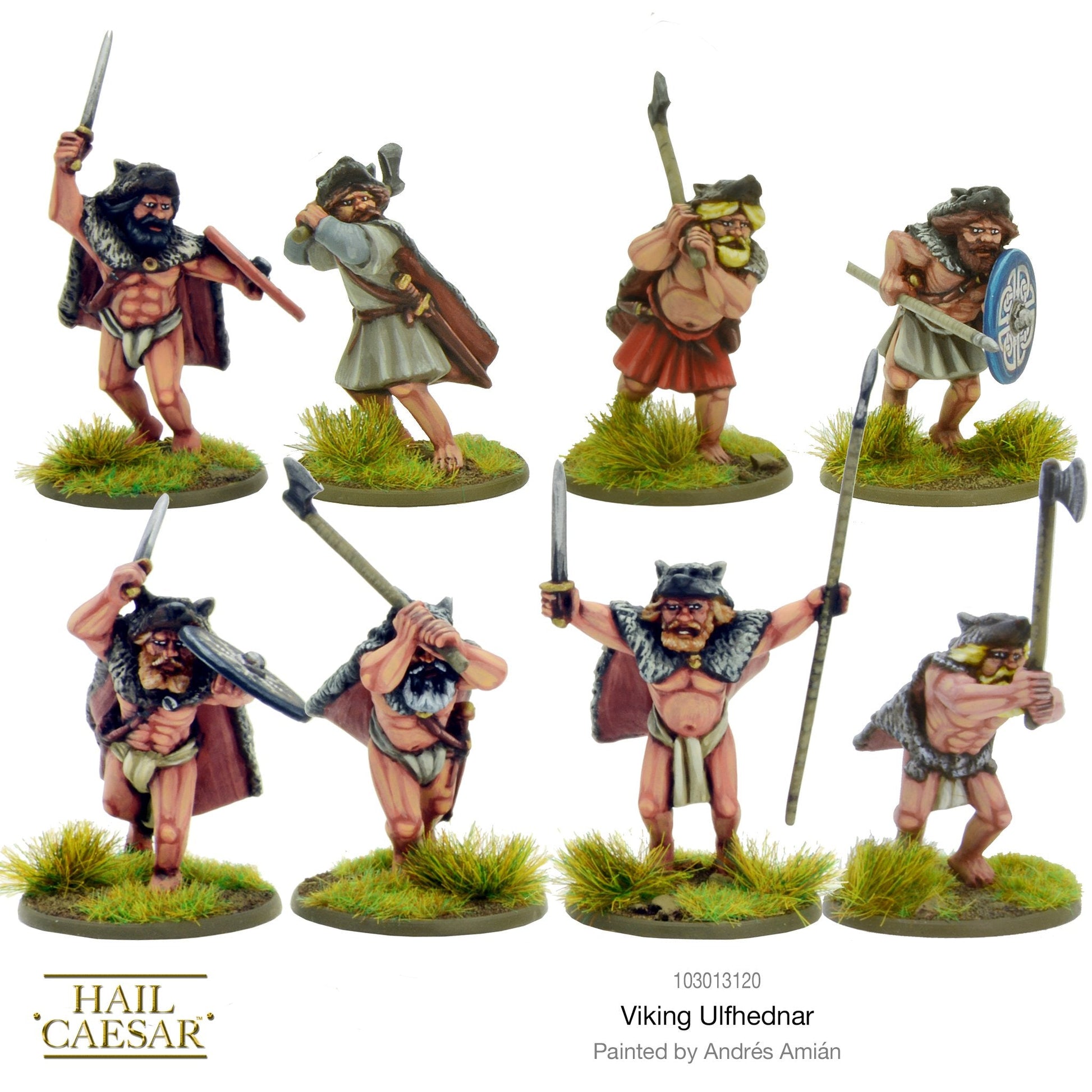 Hail Caesar: Dark Ages - Viking Ulfhednar