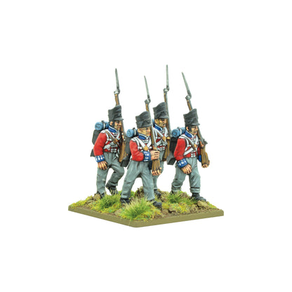 Black Powder: British - Napoleonic British Line Infantry (Waterloo campaign)