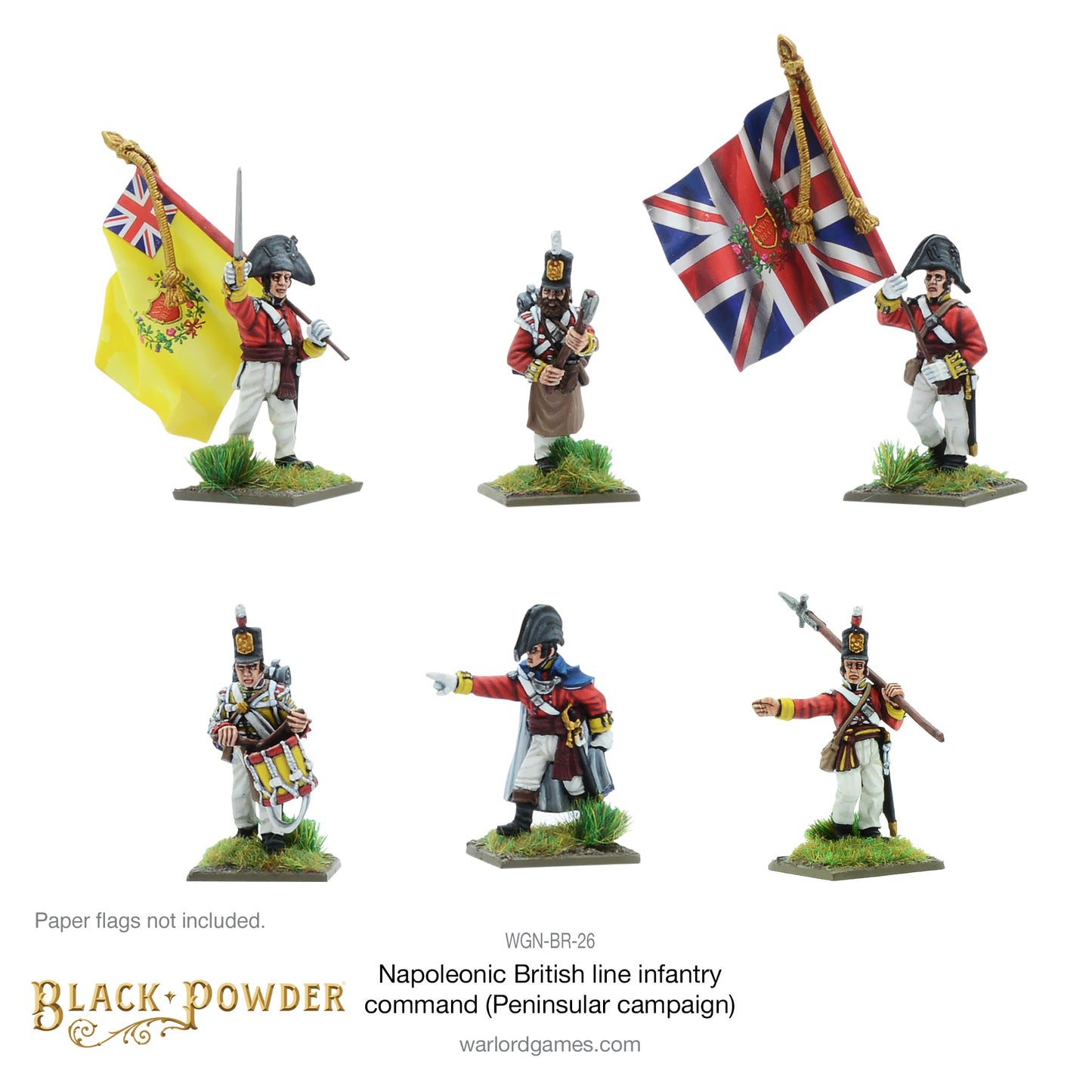 Black Powder: British - Napoleonic British Line Infantry command (Pensinsular War)