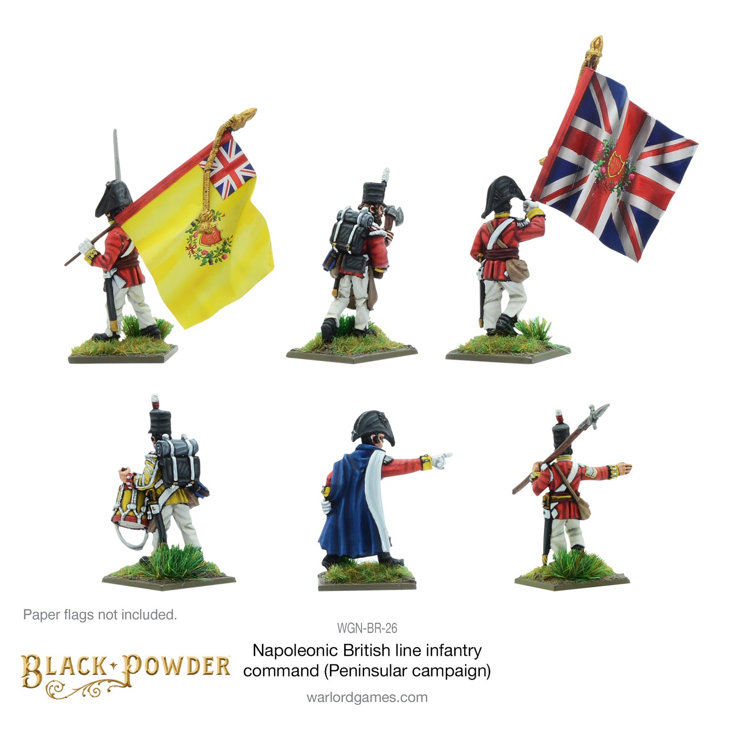 Black Powder: British - Napoleonic British Line Infantry command (Pensinsular War)