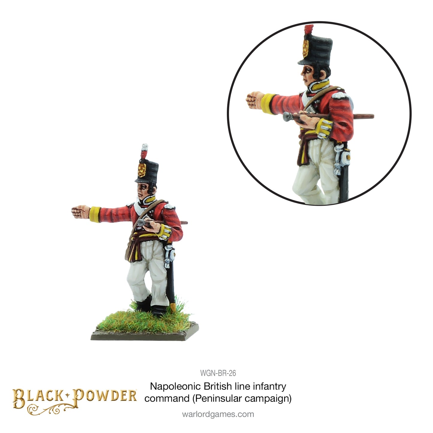 Black Powder: British - Napoleonic British Line Infantry command (Pensinsular War)